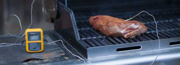 Wireless Thermometer Probe in Tri-Tip Roast